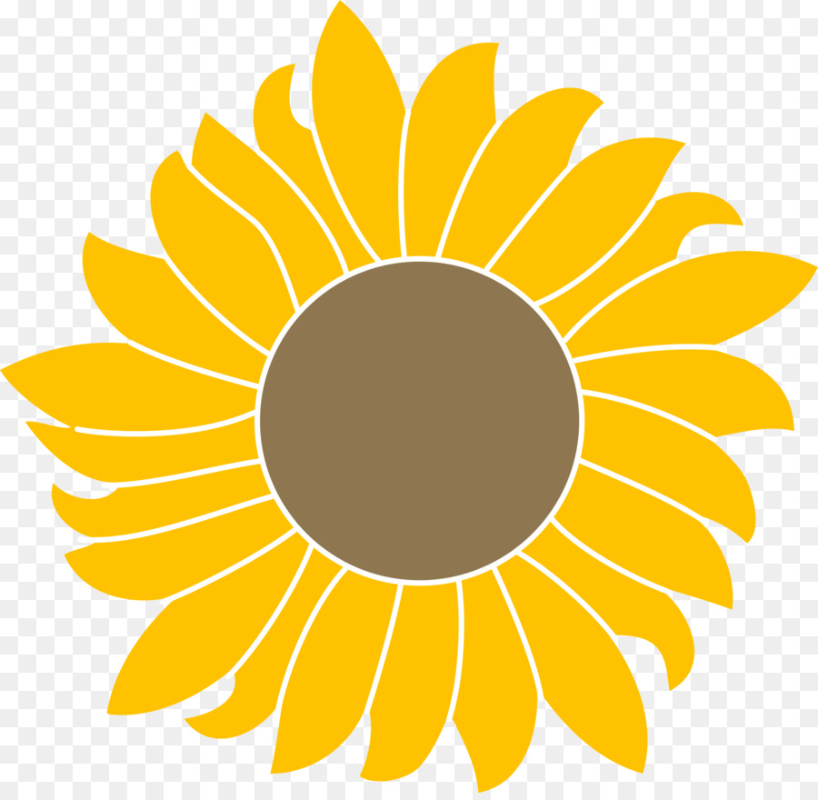 Umum Bunga Matahari Biji Bunga Matahari Logo Gambar Png