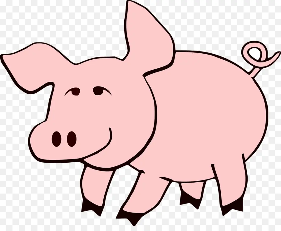 Babi，Peternakan PNG