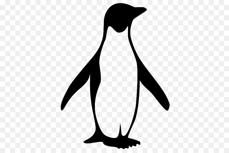 Penguin，Hewan PNG