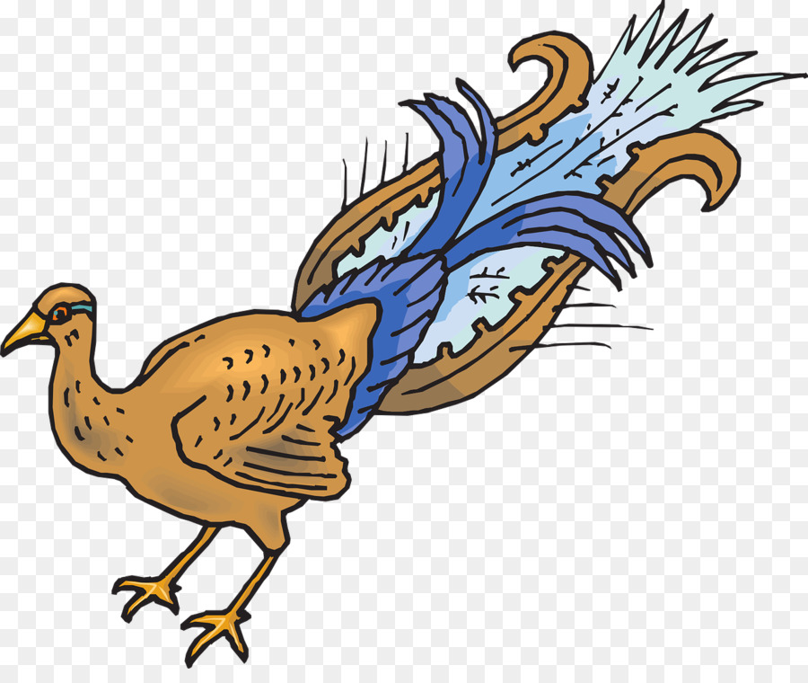 Ayam，Bulu PNG