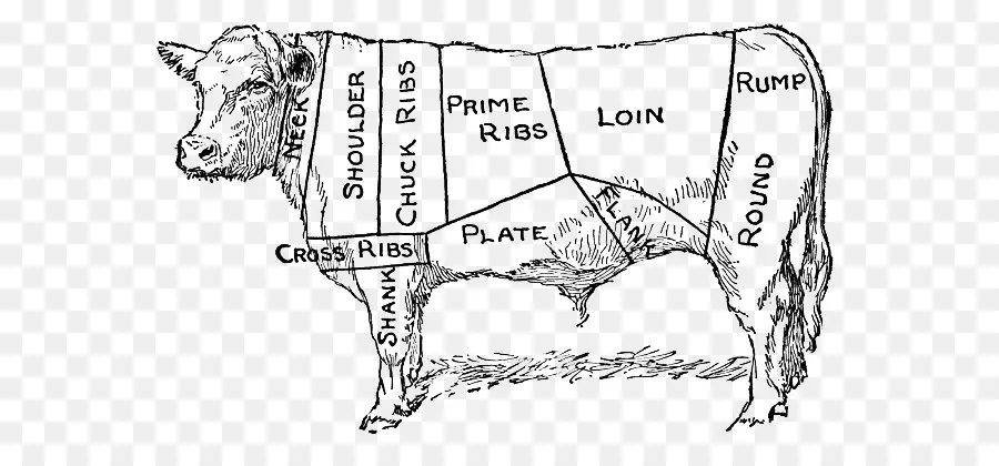 Diagram Potongan Daging Sapi，Daging PNG