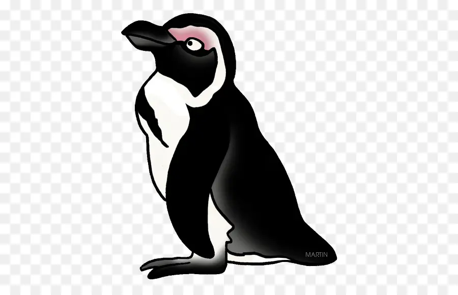 Penguin，Burung PNG