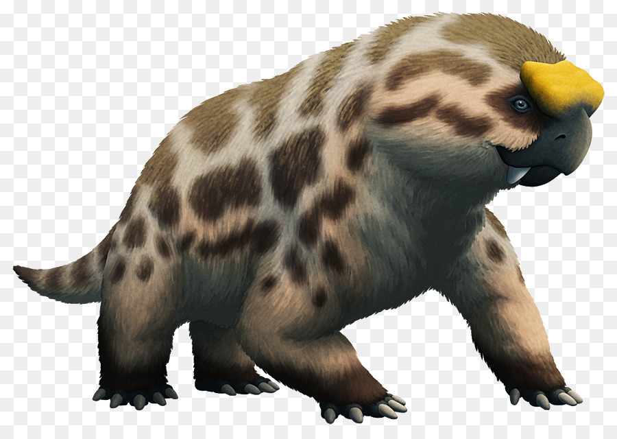 Mustelids，Dicynodont PNG