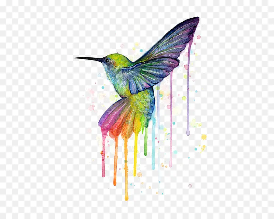 Hummingbird，Seni Grafis PNG