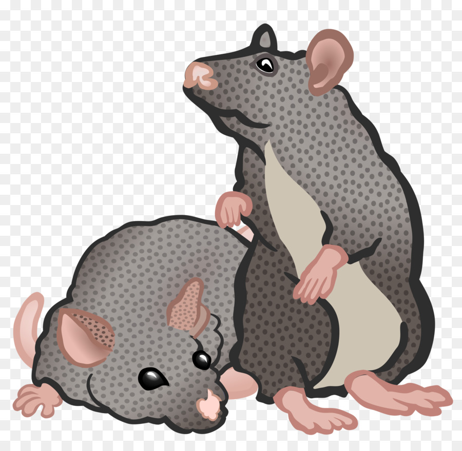 Mouse，Tikus PNG