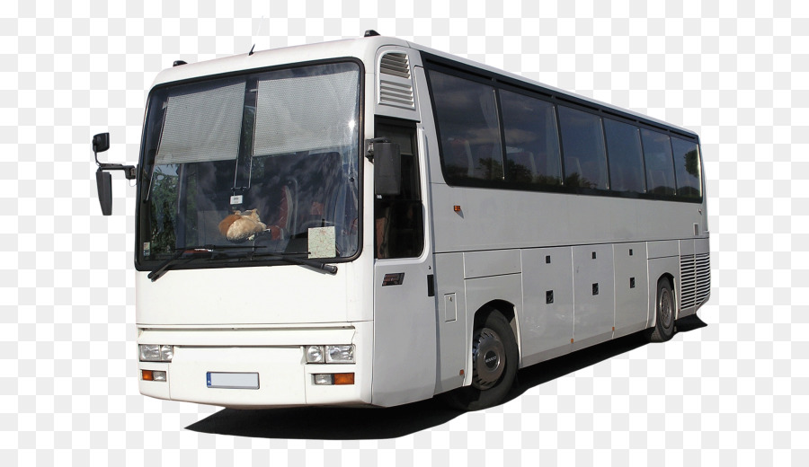 Bus，Bus Bandara PNG