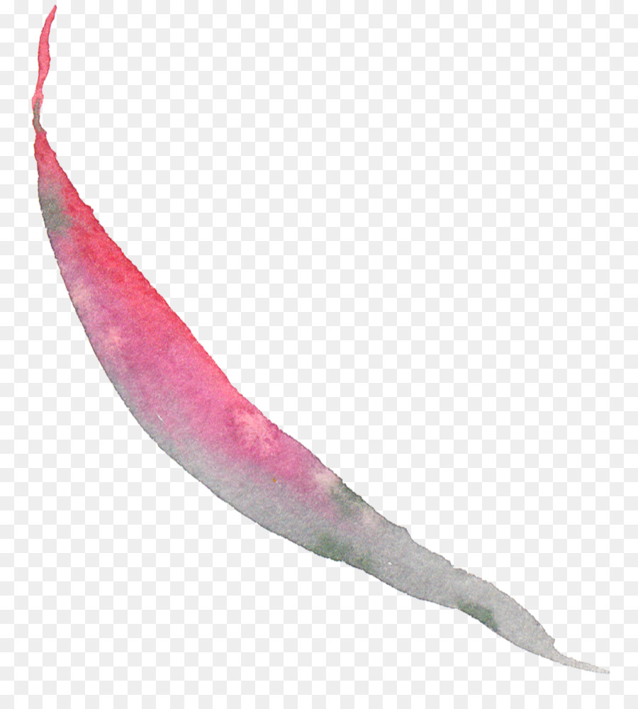 Pink M，Ikan PNG