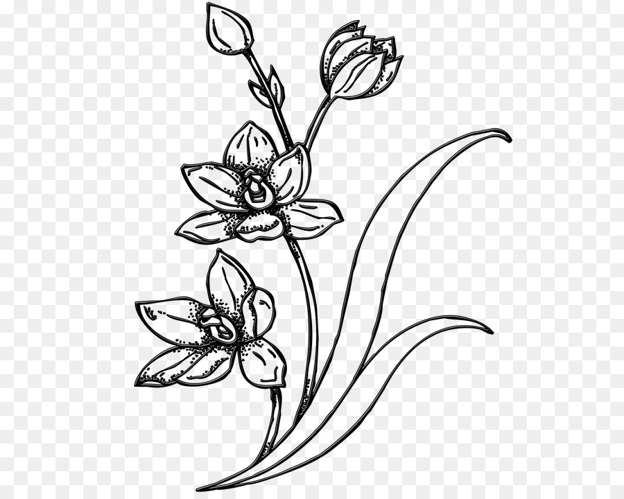 sketsa bunga: Sketsa Bunga Terong