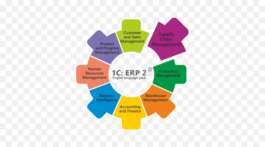 Diagram Erp，Erp PNG