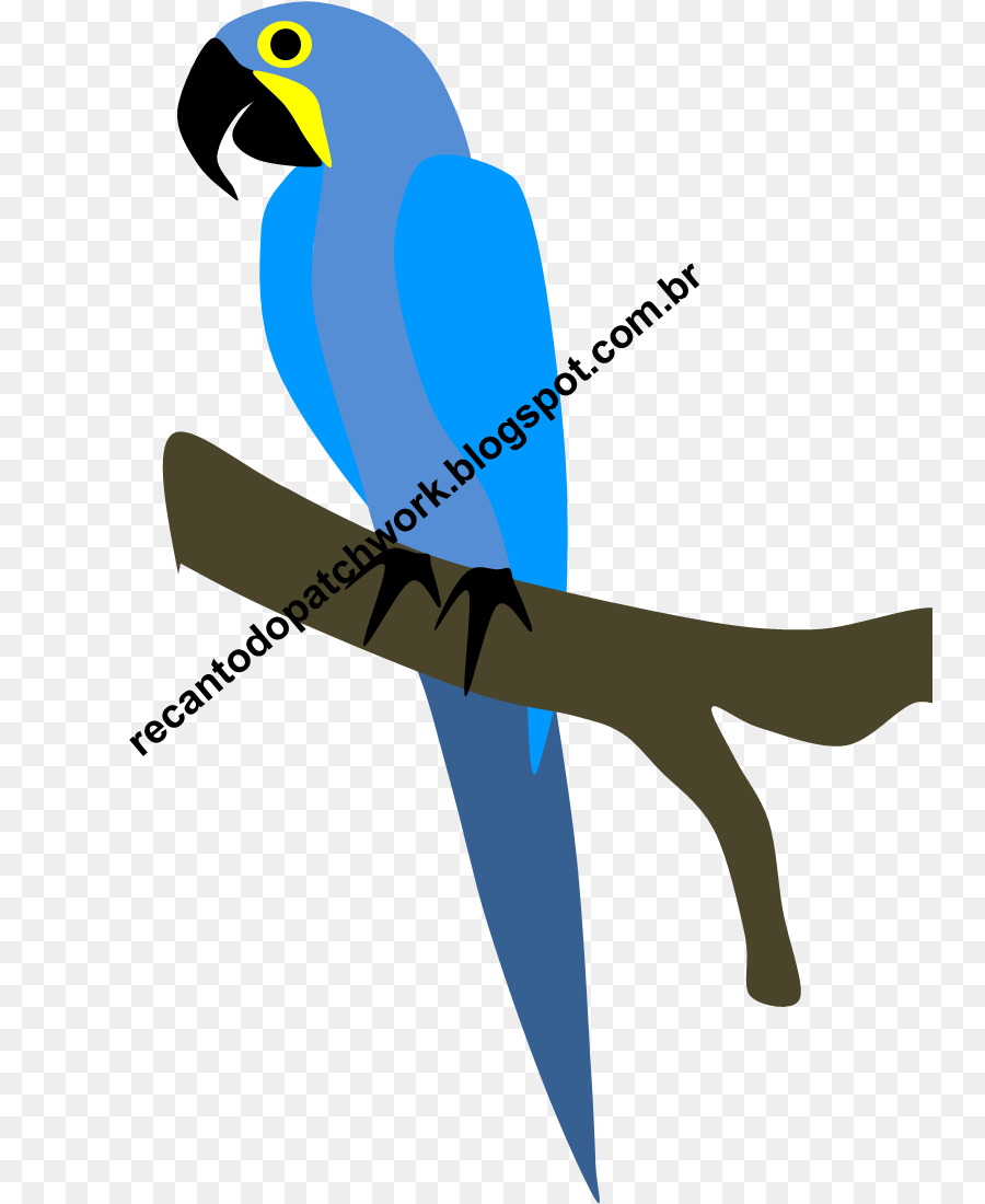 Macaw，Paruh PNG