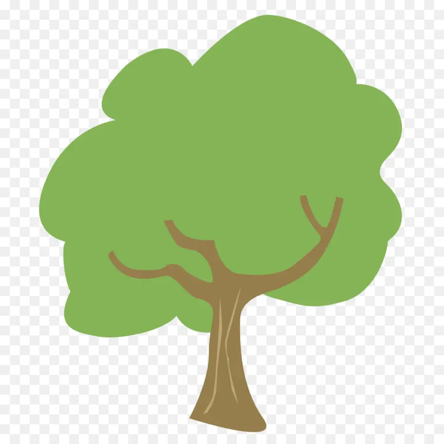 Pohon，Daun PNG