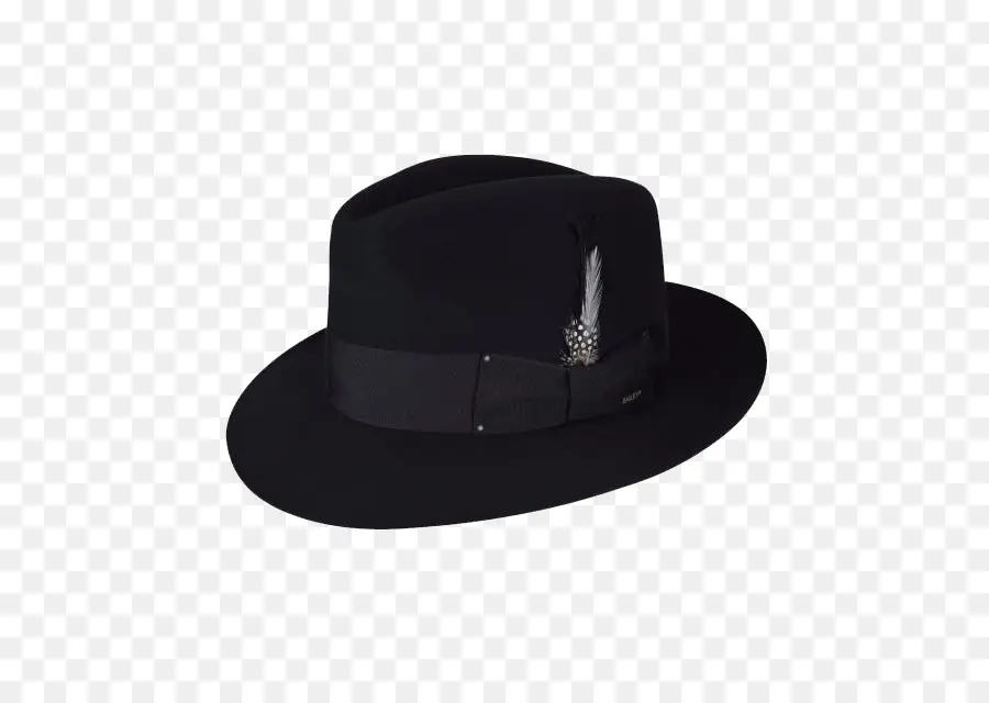 Topi Hitam，Fedora PNG