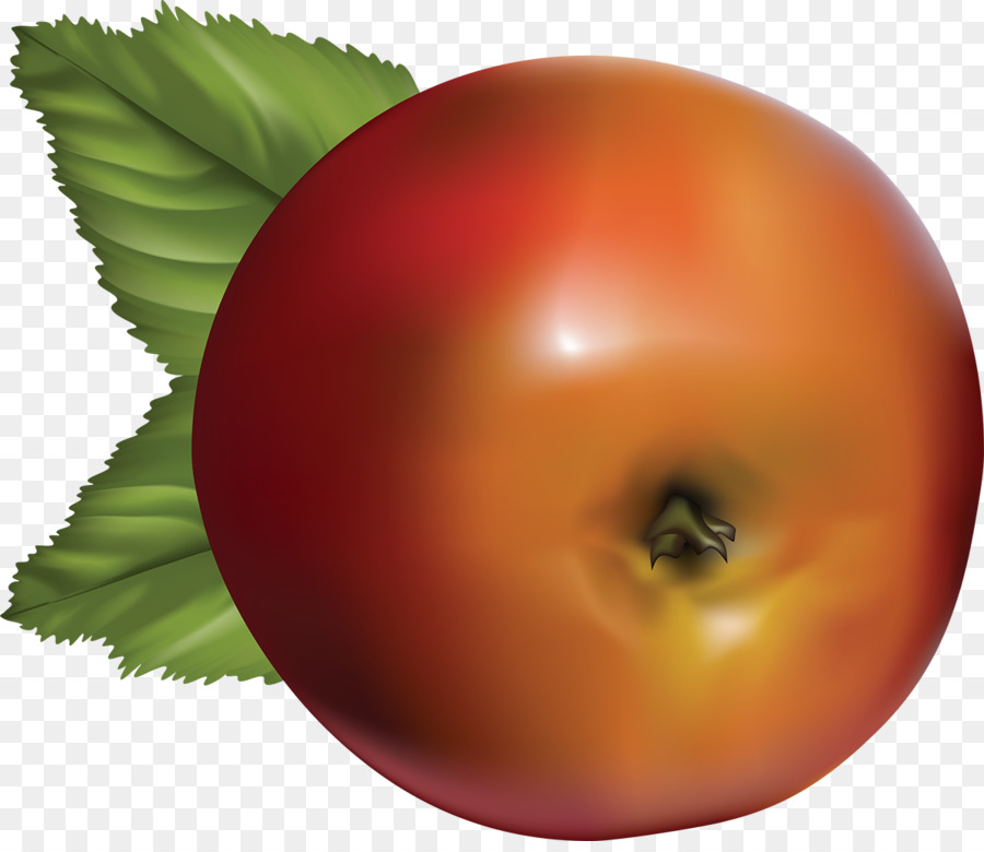 Tomat，Apple PNG