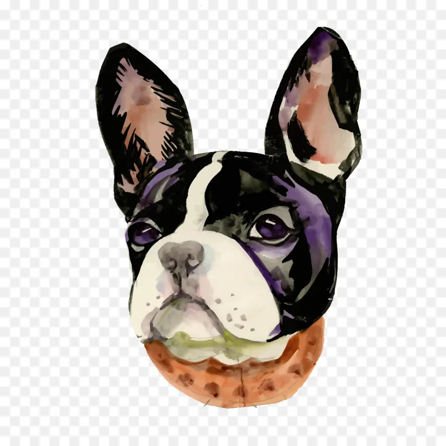 Boston Terrier，Bulldog Perancis PNG