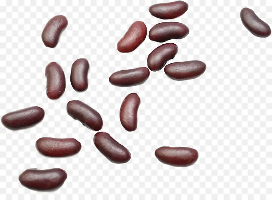 Kacang Merah，Kacang Kacangan PNG