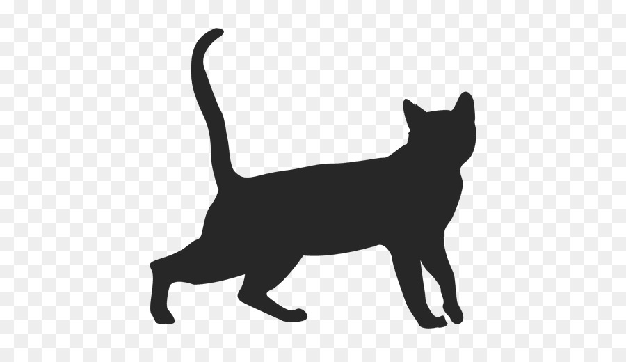 Kucing Hitam，Domestik Kucing Shorthaired PNG