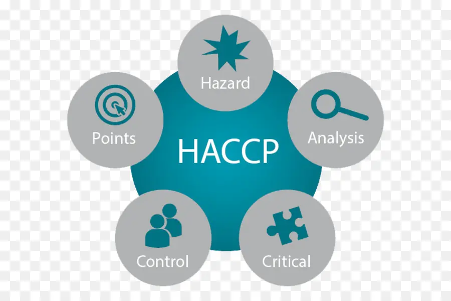 Diagram Haccp，Keamanan Pangan PNG