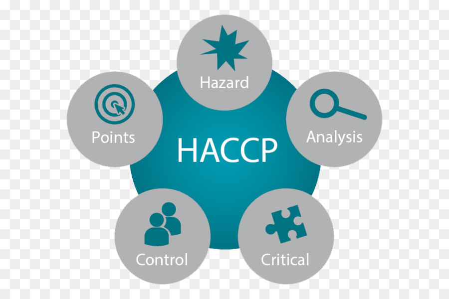 Critical control points. Система ХАССП. Система HACCP. Система безопасности ХАССП. ХАССП картинки.