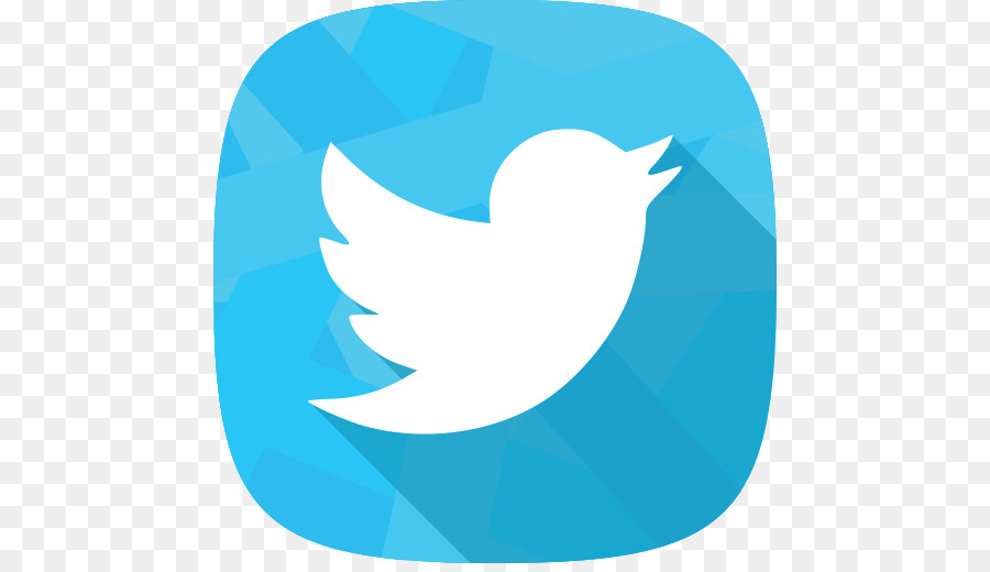 Logo Twitter，Media Sosial PNG