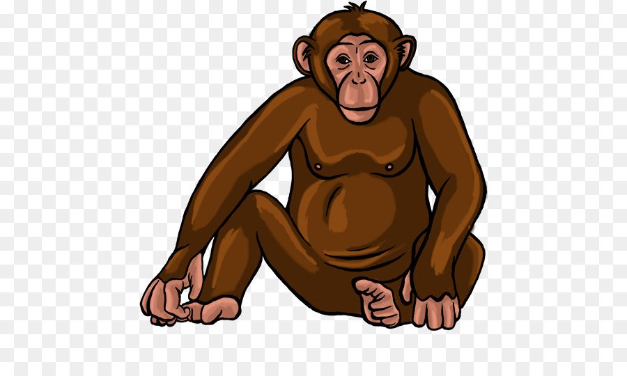 Orangutan，Primata PNG