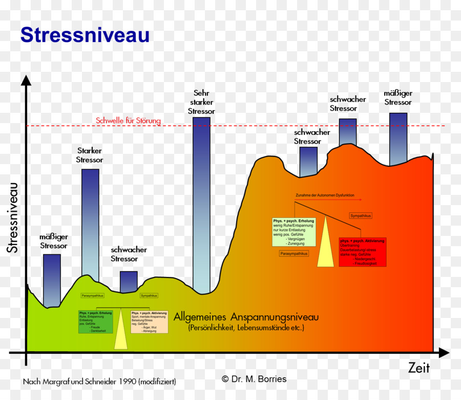 Stres Eustress Respon Stres Gambar Png