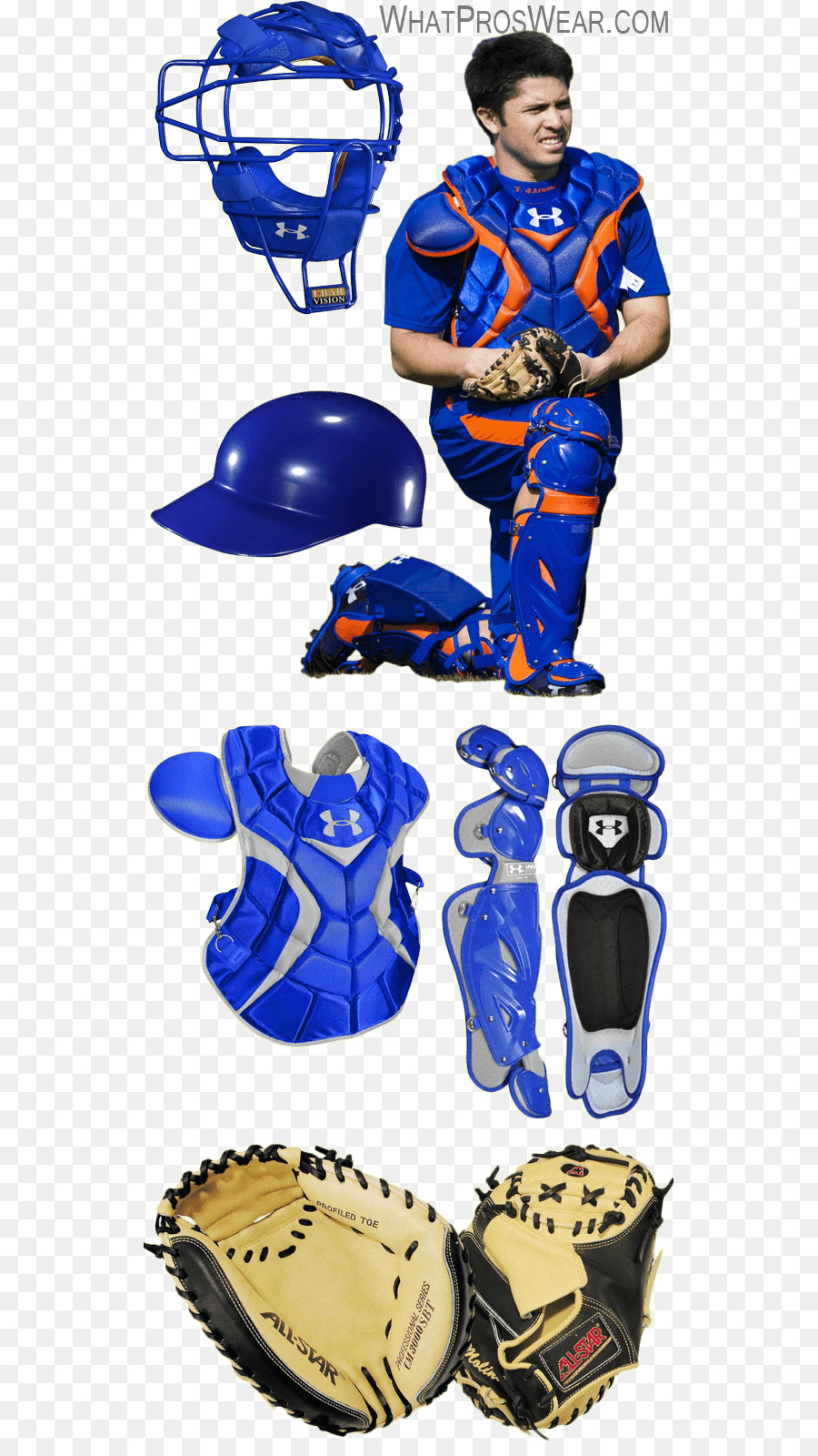 Travis D Arnaud，Mlb PNG