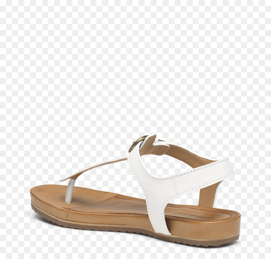 Sandal，Sepatu PNG