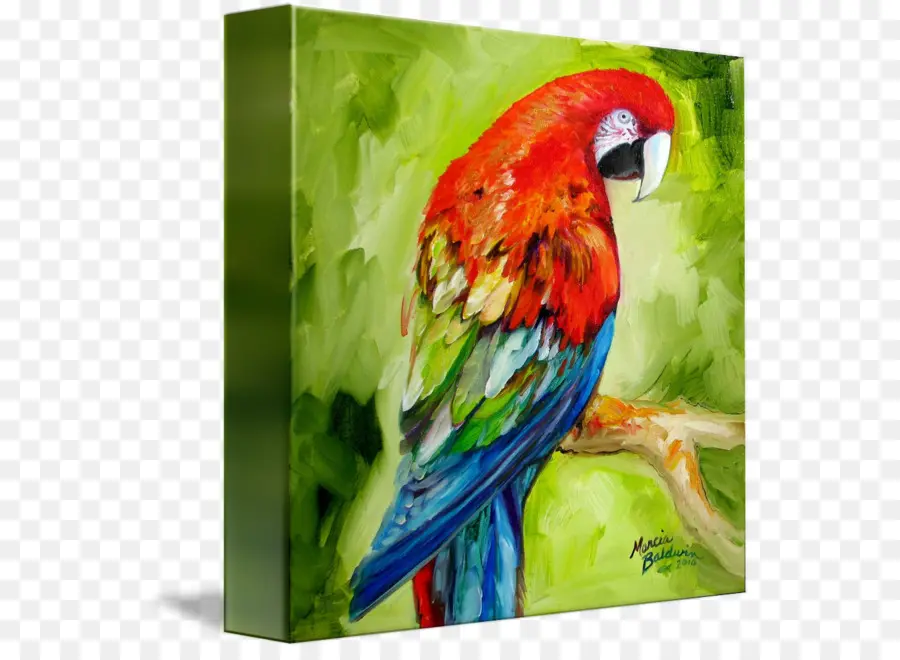 Macaw，Lukisan Cat Air PNG