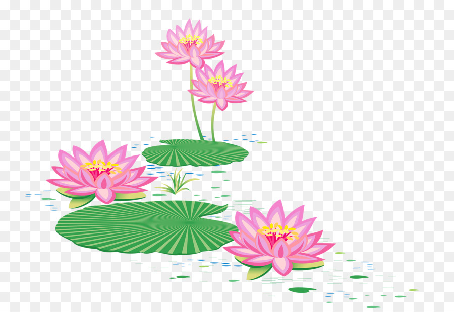 Desain Bunga Lotus Suci Lotus Gambar Png