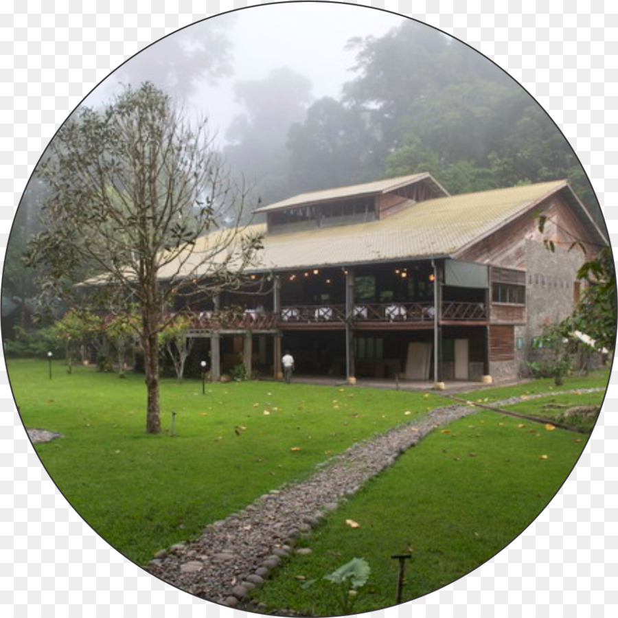 Borneo Rainforest Lodge，Hutan Hujan PNG