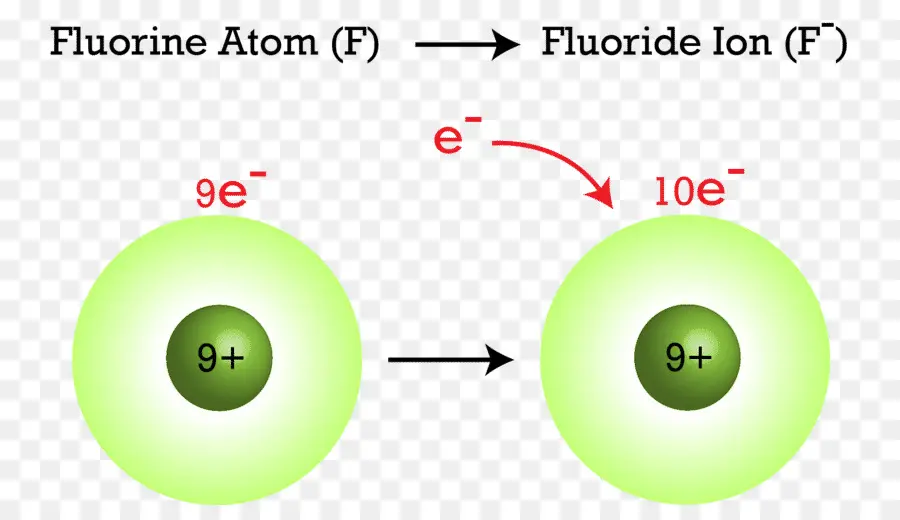 Atom Fluor，Ion Fluorida PNG