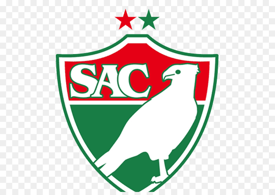 Salgueiro Atletico Clube，Kejuaraan Brasil Seri C PNG