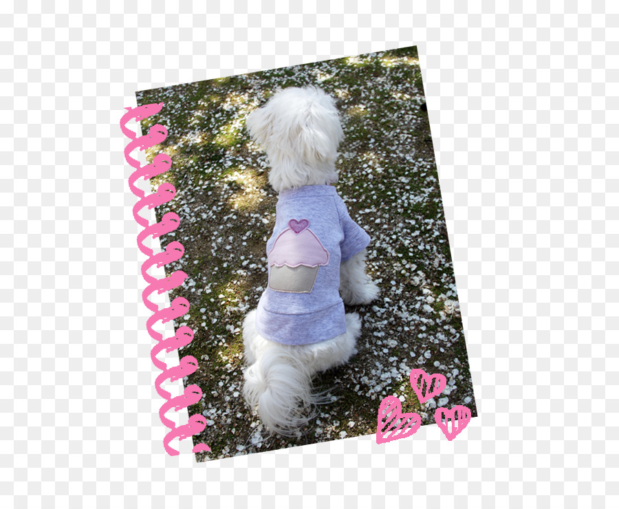 Anjing，Pink M PNG