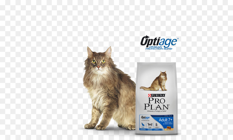 Maine Coon，Kumis PNG