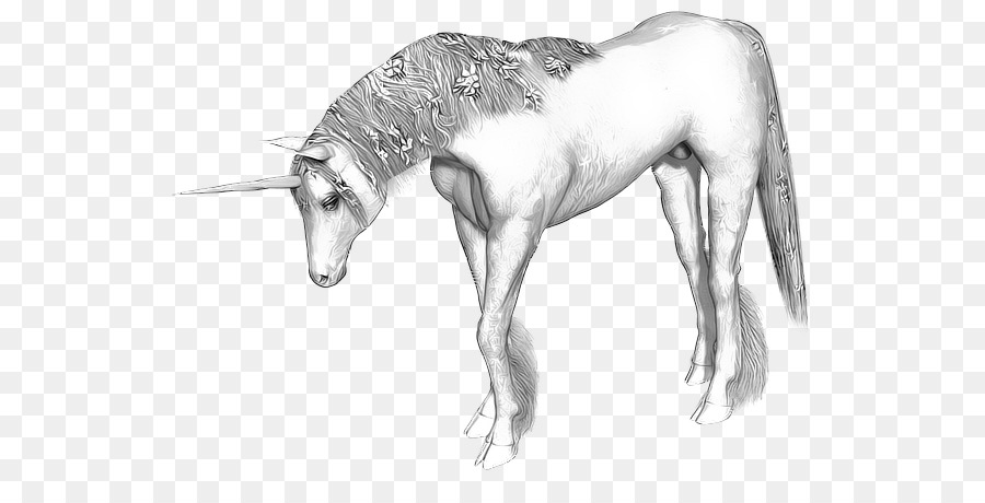 Unicorn，Kuda PNG