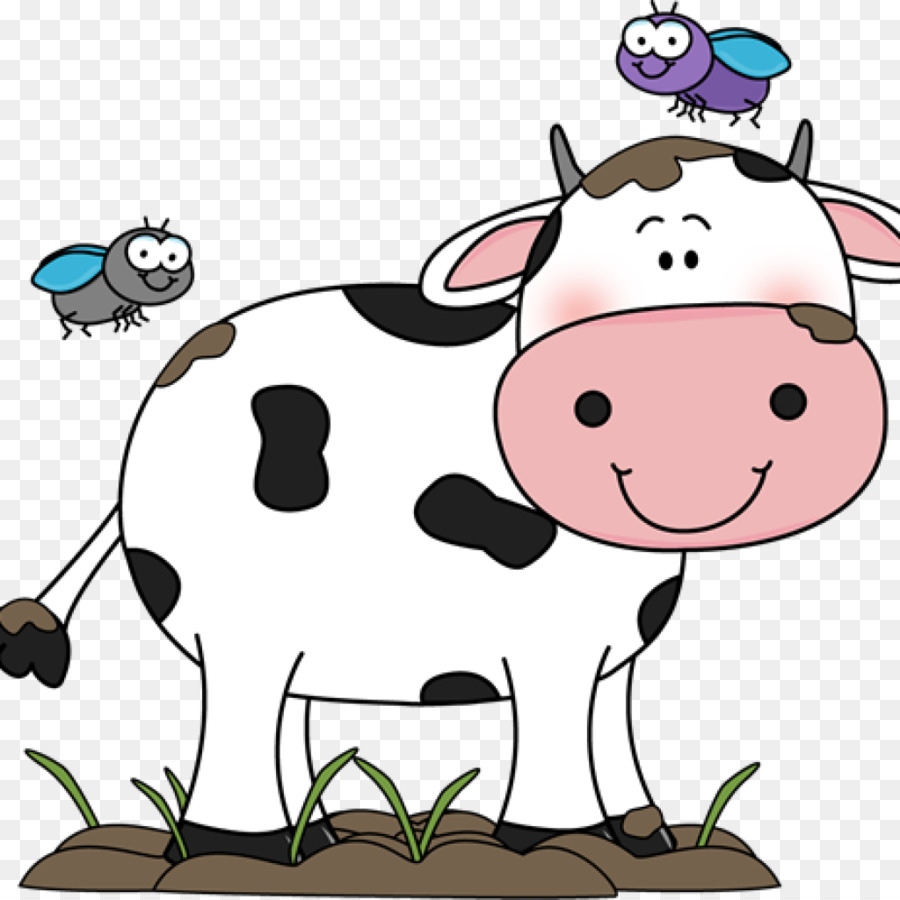 Holstein Friesian Ternak
