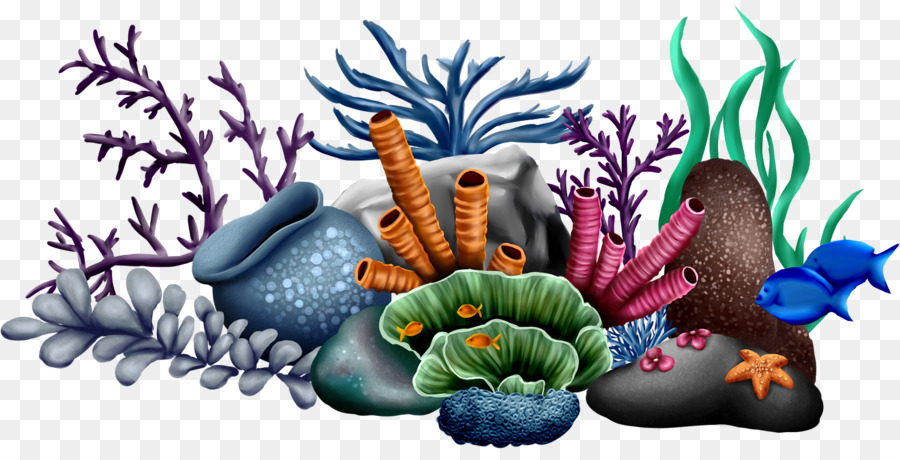 Дно картинки надпись. Кораллы для детей. Морские растения. Кораллы для дошкольников. Подводные растения.