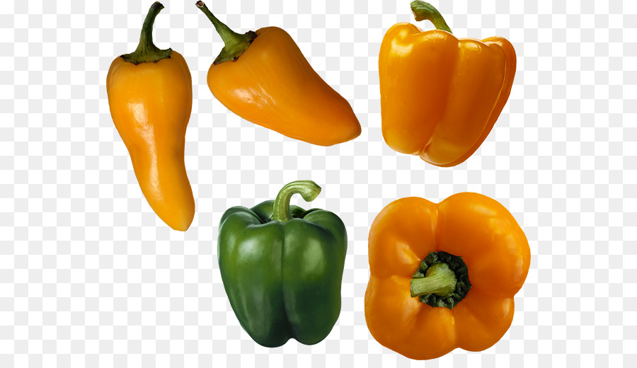 Paprika Cabai Lada Hitam gambar png