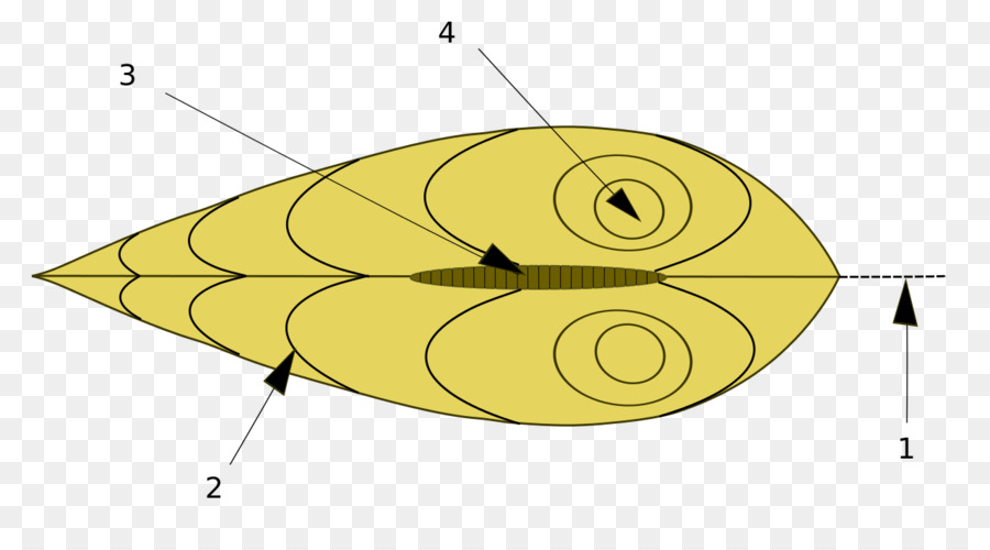 Diagram Aerodinamis，Aerodinamika PNG