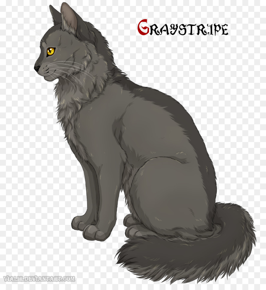 Kucing，Graystripe PNG