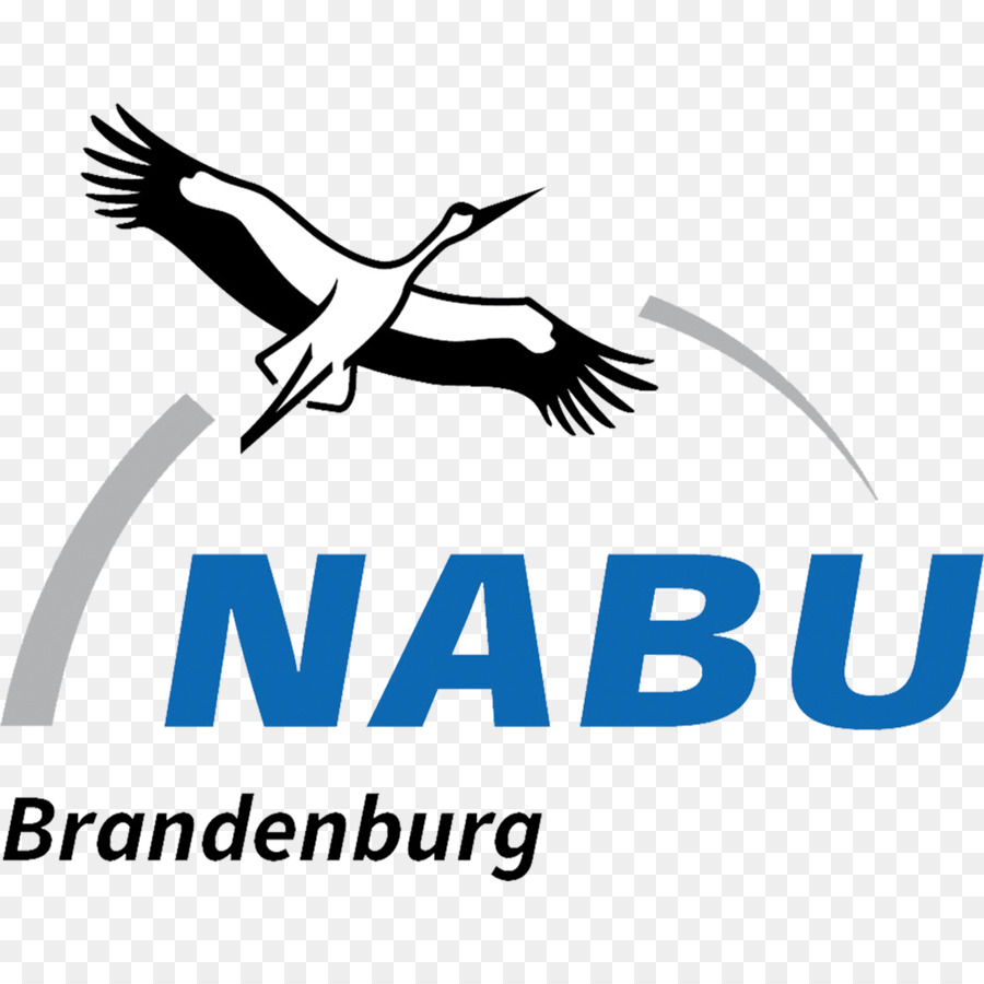 Nabu Brandenburg，Burung PNG