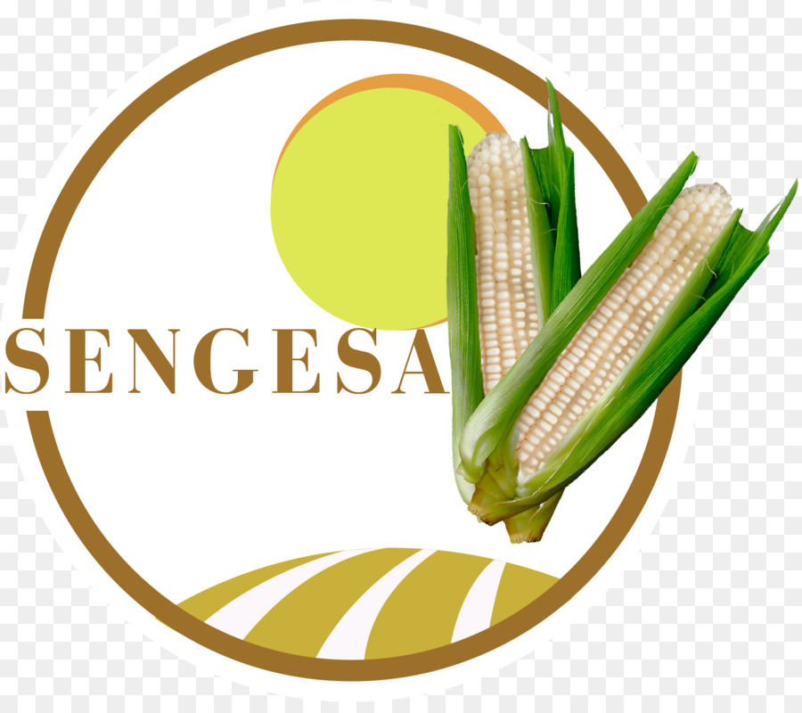 Sengesa，Jagung Rebus PNG