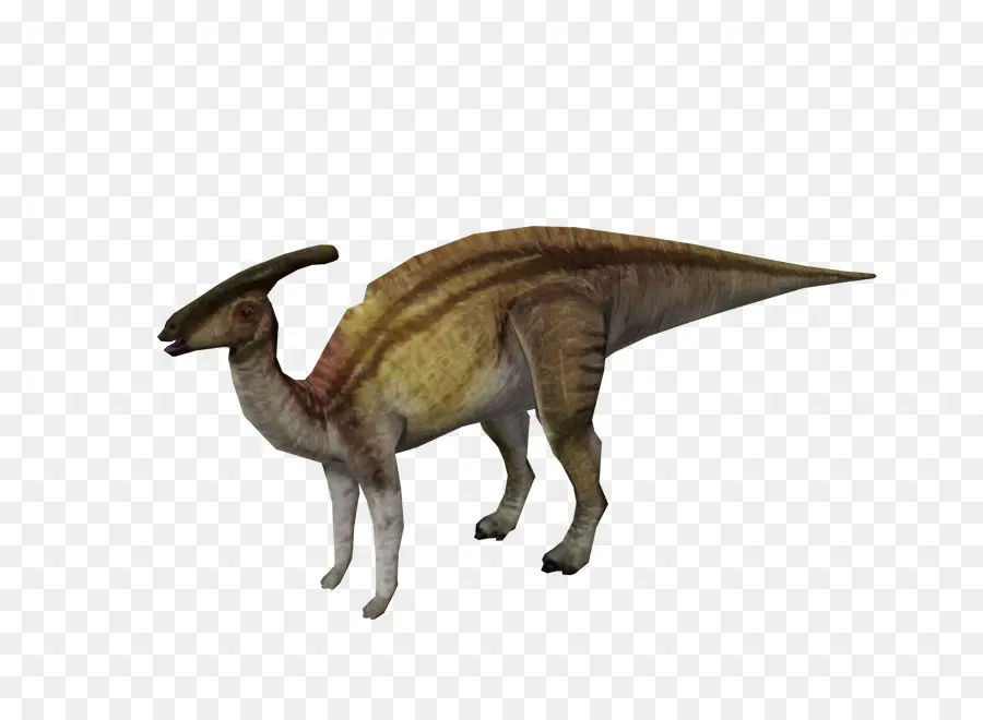 Dinosaurus，Prasejarah PNG