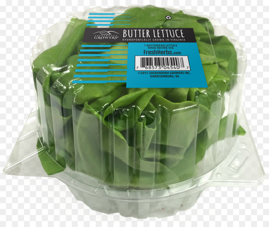 Selada Butterhead，Salad PNG