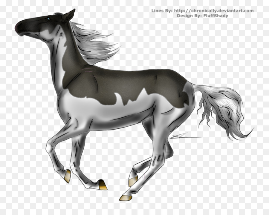 Pony，Kuda PNG