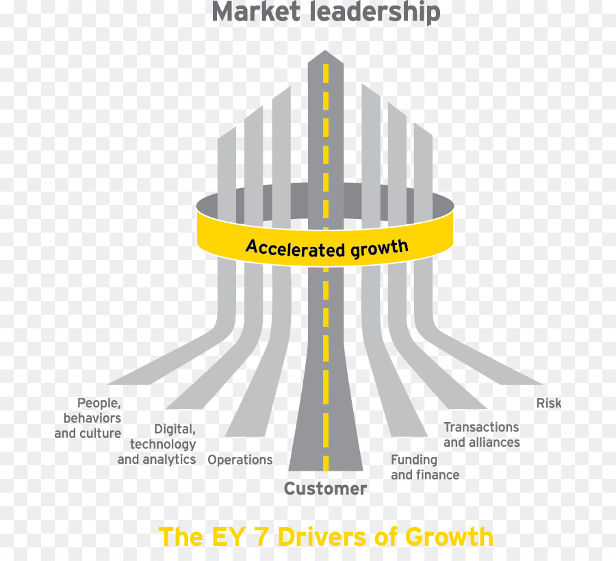 Ernst Young，Bisnis PNG