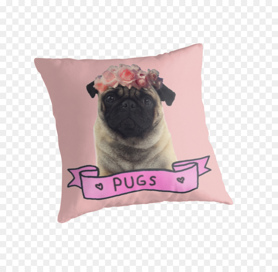 Pug，Anjing PNG