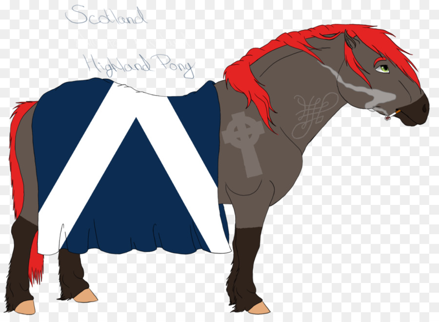 Pony，Highland Pony PNG