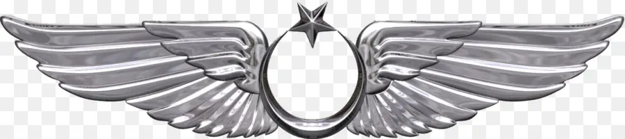 Angkatan Udara，Turki Angkatan Udara PNG