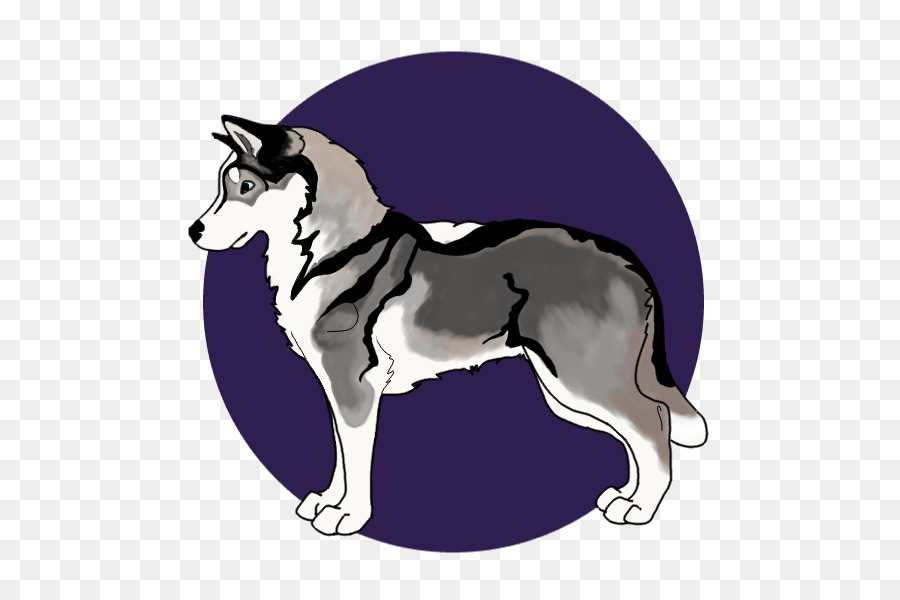 Anjing Berkembang Biak，Siberian Husky PNG